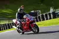 cadwell-no-limits-trackday;cadwell-park;cadwell-park-photographs;cadwell-trackday-photographs;enduro-digital-images;event-digital-images;eventdigitalimages;no-limits-trackdays;peter-wileman-photography;racing-digital-images;trackday-digital-images;trackday-photos